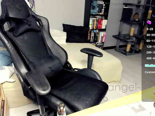 Web-cam-ange1