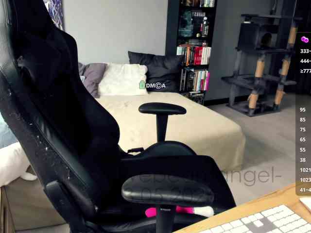 Web-cam-ange1 Web-cam-ange1