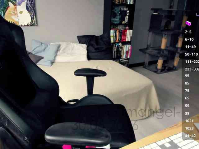 -Web-cam-angel- webcam