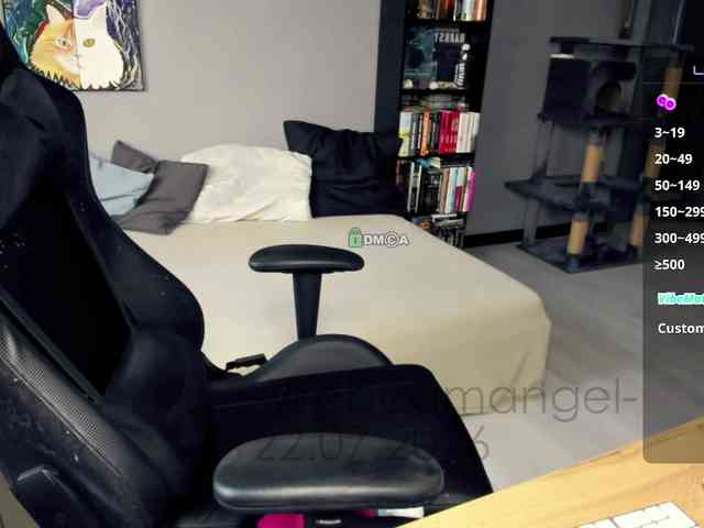-Web-cam-angel- webcam
