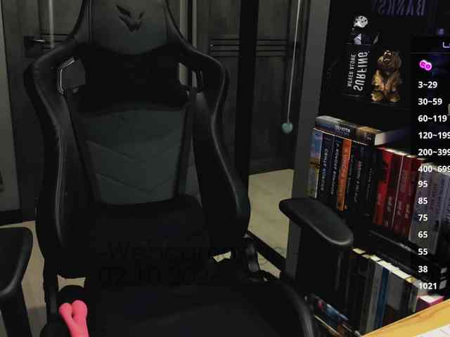-Web-cam-angel- webcam