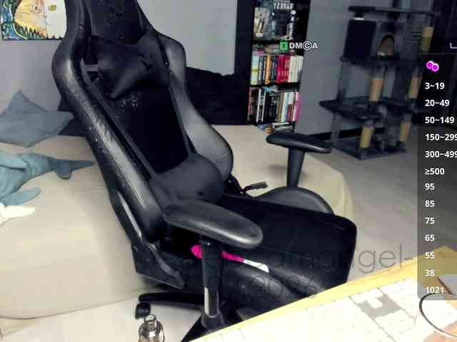 Web-cam-ange1