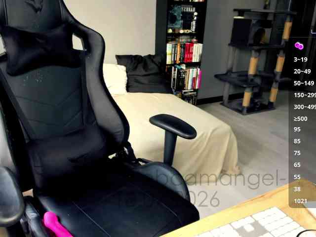 -Web-cam-angel- webcam