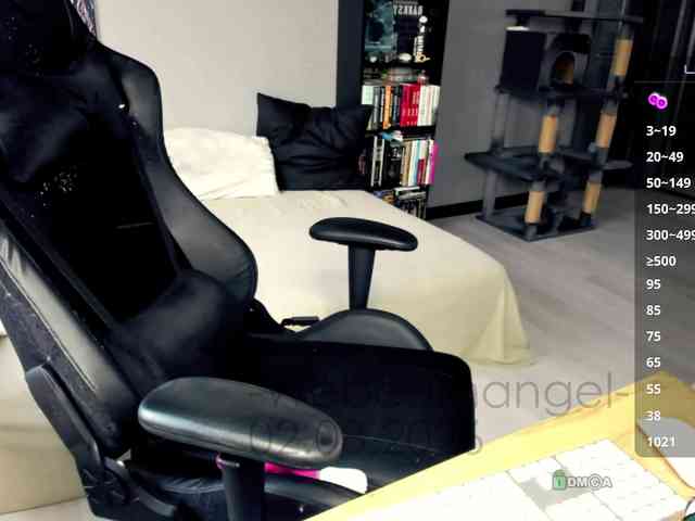 -Web-cam-angel- webcam