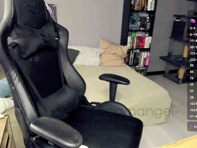Web-cam-ange1