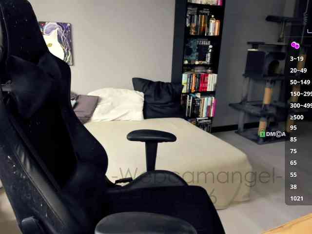 Web-cam-ange1 Web-cam-ange1
