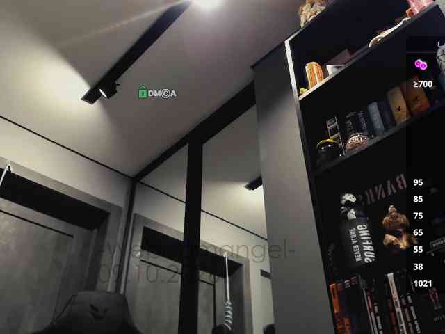 Web-cam-ange1
