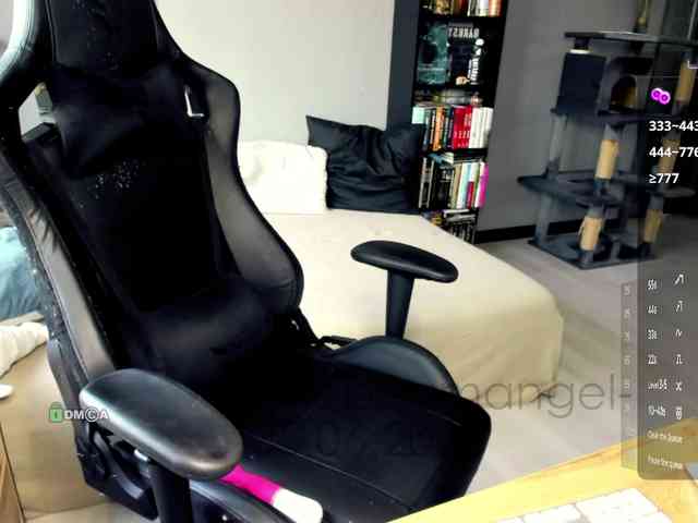 Web-cam-ange1