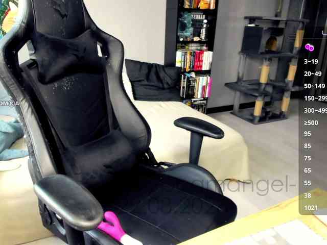 Web-cam-ange1