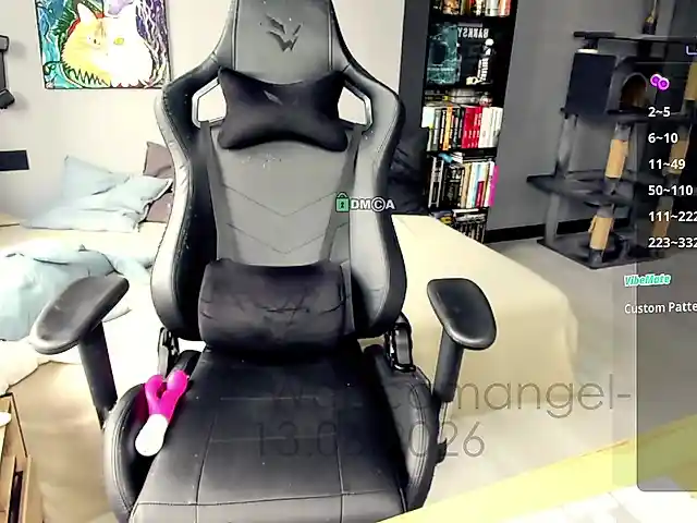 Web-cam-ange1