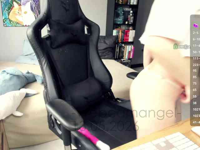 Web-cam-ange1 Web-cam-ange1