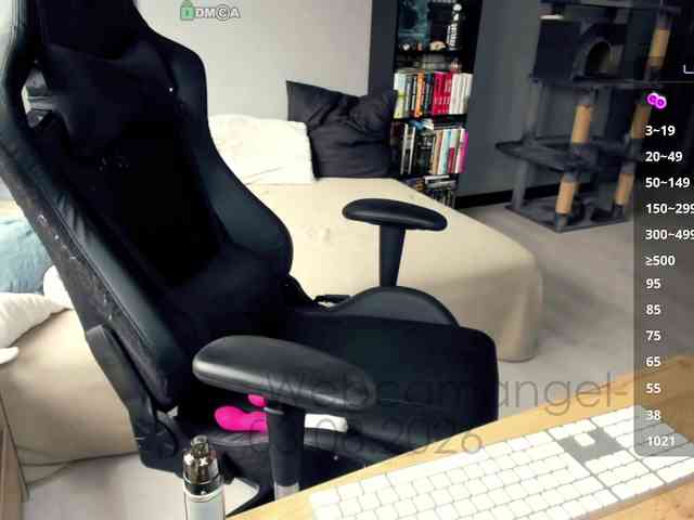 -Web-cam-angel- webcam