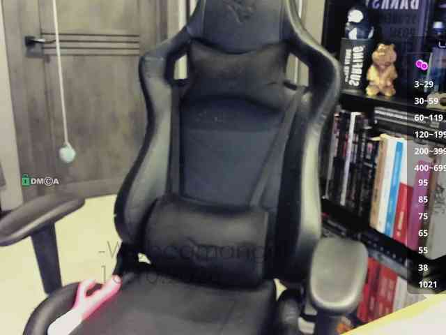 Web-cam-ange1