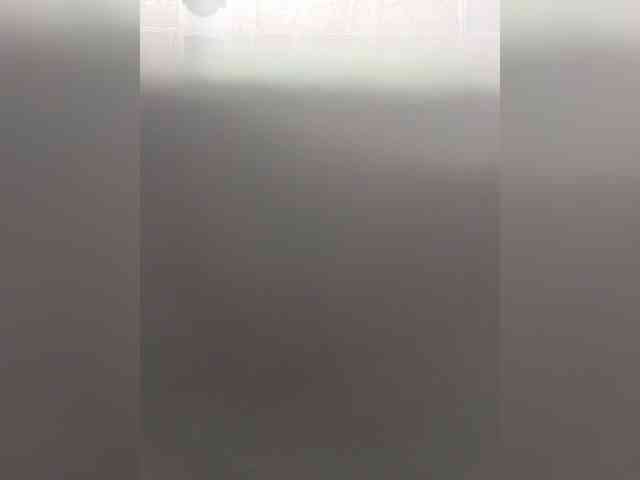 Laskikakvskaz webcam