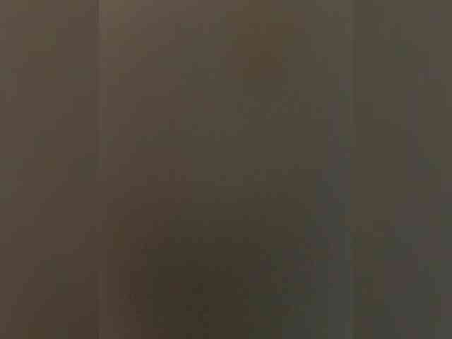 Laskikakvskaz webcam