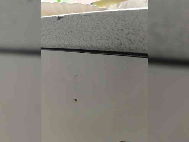 Laskikakvskaz webcam