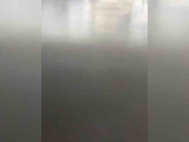 Laskikakvskaz webcam
