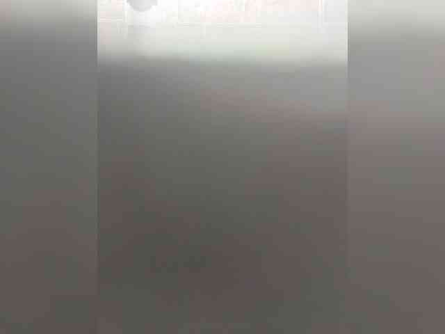 Laskikakvskaz webcam