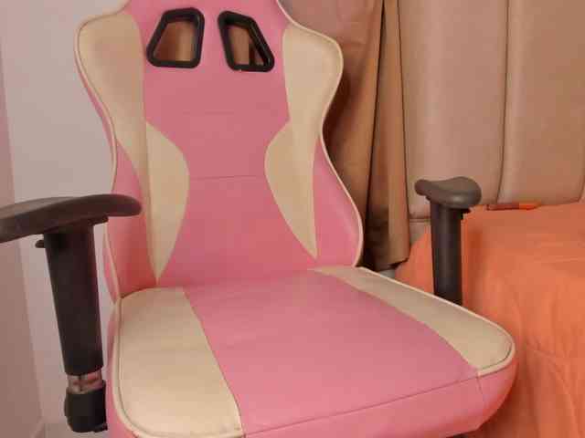 isa-bunny1 webcam