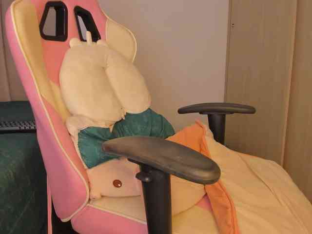 isa-bunny1