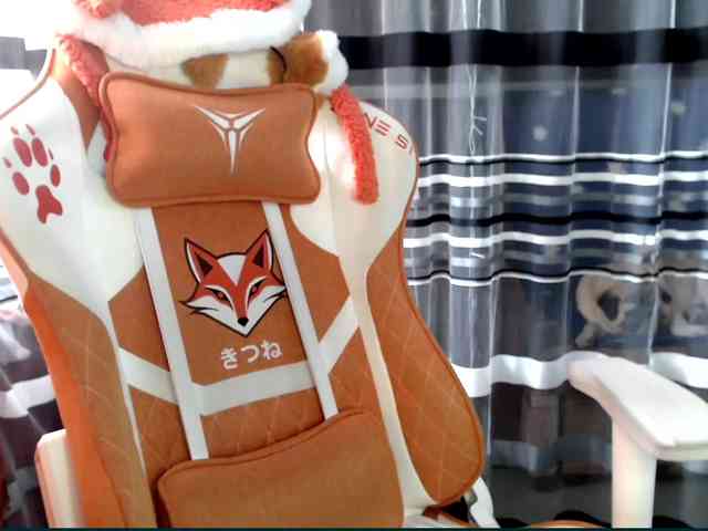 Lollifoxy webcam