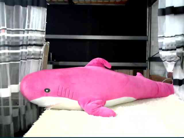 Lollifoxy webcam