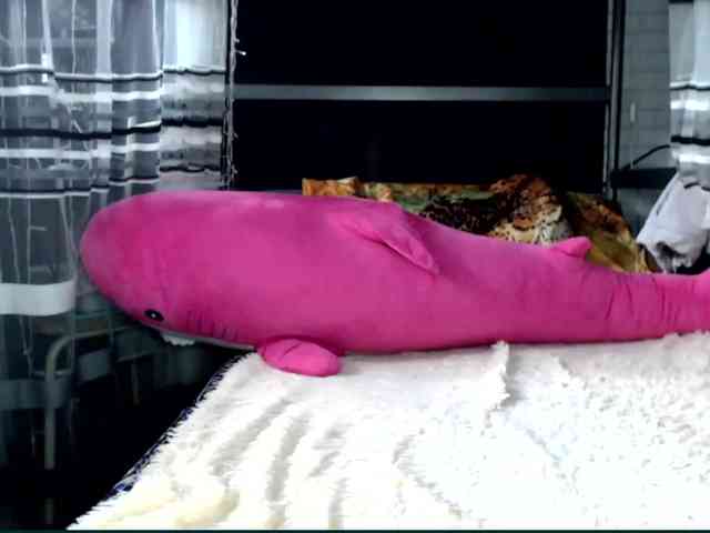 Lollifoxy webcam
