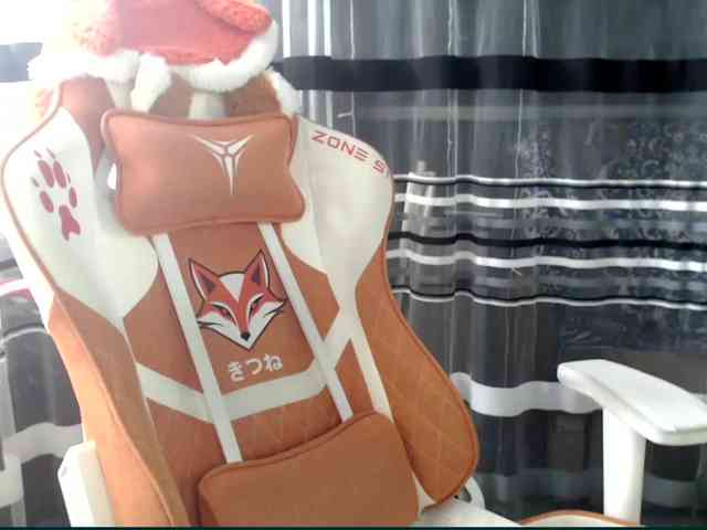 Lollifoxy webcam