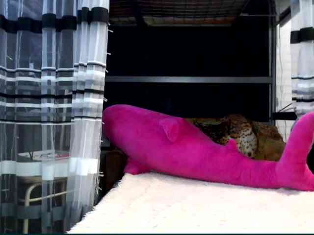 Lollifoxy webcam