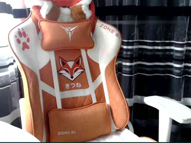 Lollifoxy webcam