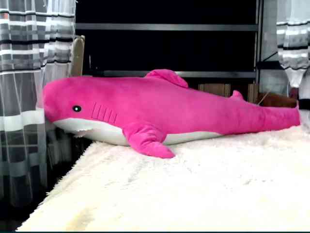 Lollifoxy webcam