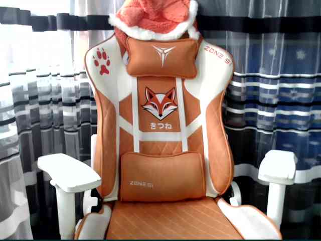 Lollifoxy webcam