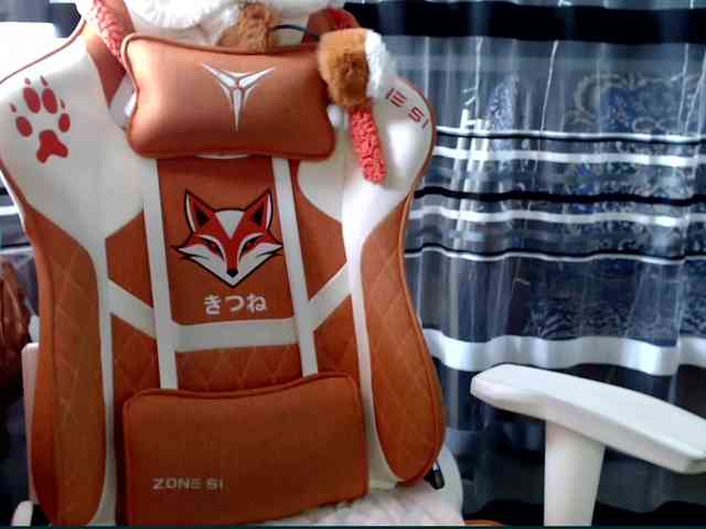 Lollifoxy webcam