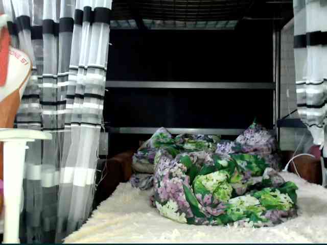 Lollifoxy webcam
