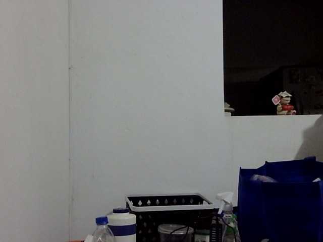 ElizabethMart live cam on BongaCams