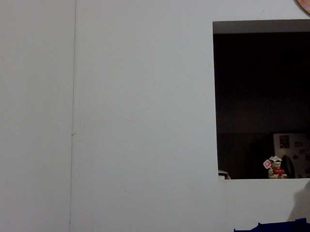 ElizabethMart live cam on BongaCams