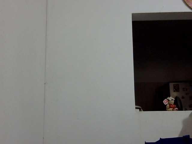 ElizabethMart live webcam show