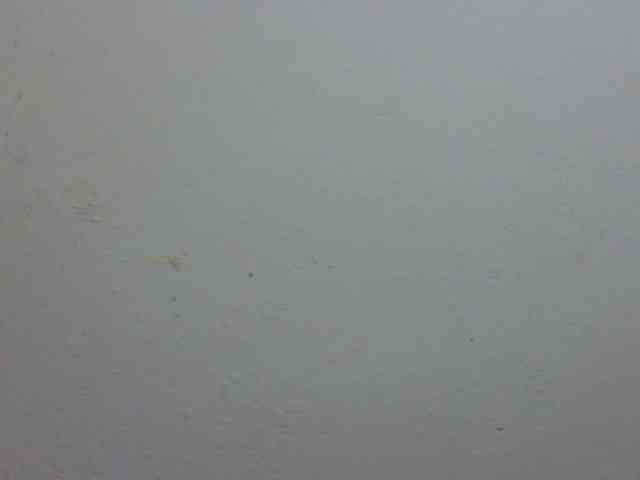 ElizabethMart webcam