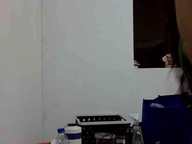 ElizabethMart webcam