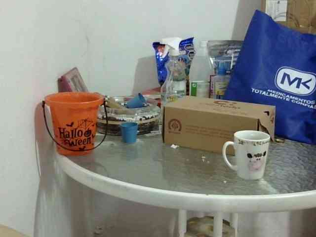 ElizabethMart webcam