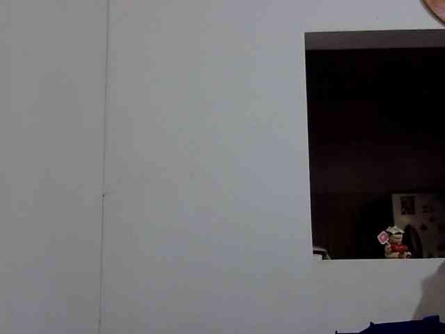 ElizabethMart webcam