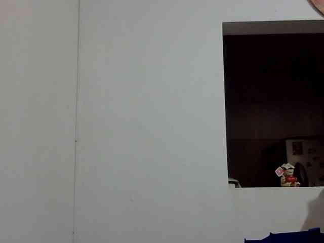 ElizabethMart webcam
