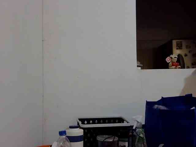 ElizabethMart webcam
