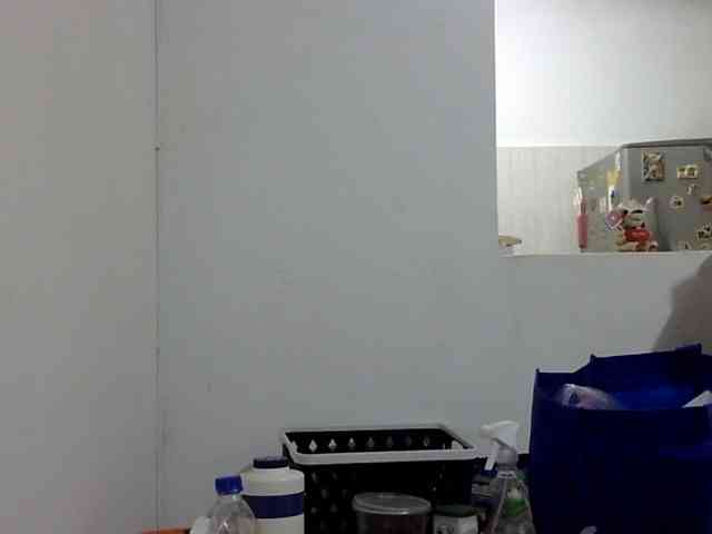 ElizabethMart webcam