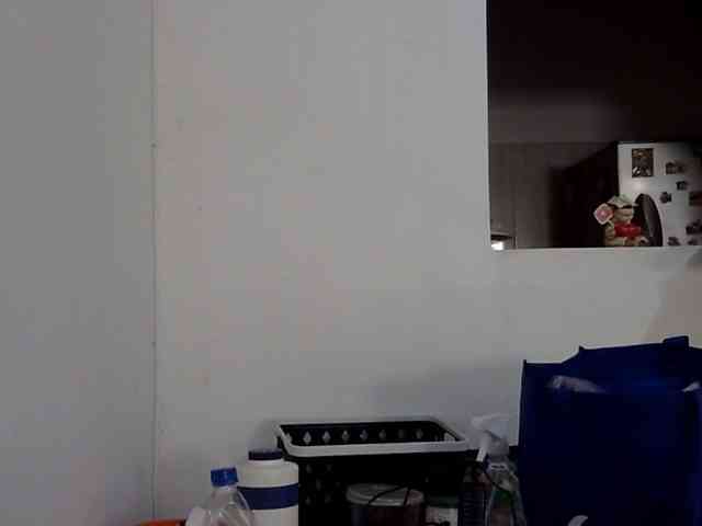 ElizabethMart webcam