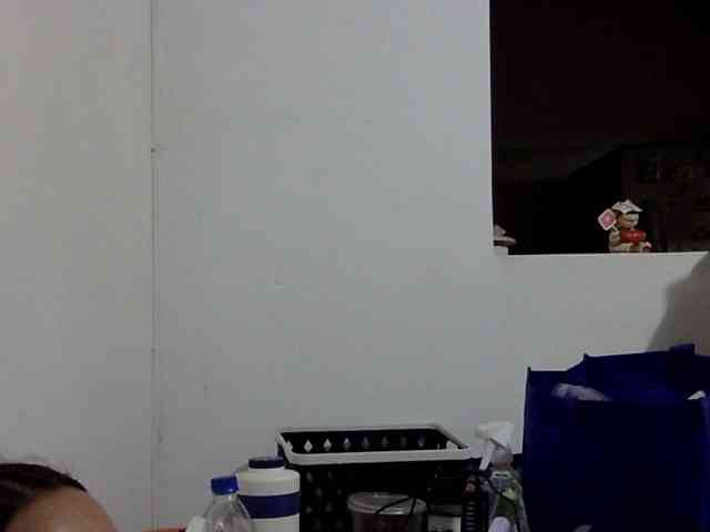 ElizabethMart webcam