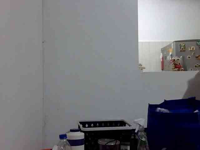 ElizabethMart webcam