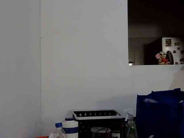 ElizabethMart webcam