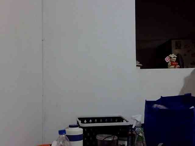 ElizabethMart webcam