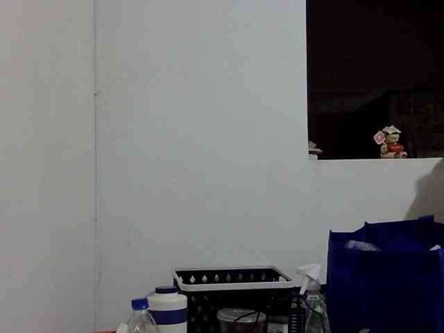 ElizabethMart webcam